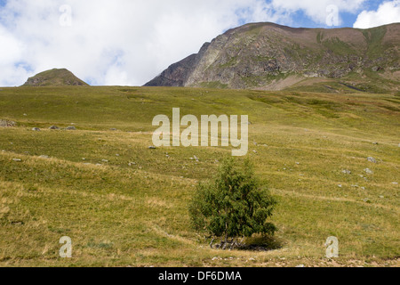 Route du Col de Sarenne Alpes d'Huez Alp Huez Isere Rodano Alpi Francia Foto Stock