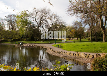 Mowbray Park a Sunderland Nord Est Inghilterra Foto Stock