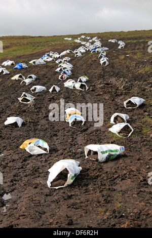 Sacchetti di turf (blocchi di torba per la masterizzazione) essiccazione nei campi lungo la R250 ad ovest di Letterkenny, County Donegal, Eire. Foto Stock