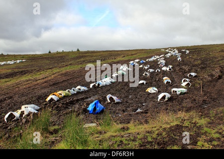 Sacchetti di turf (blocchi di torba per la masterizzazione) essiccazione nei campi lungo la R250 ad ovest di Letterkenny, County Donegal, Eire. Foto Stock