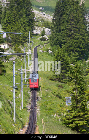 Svizzero alpine trenino a cremagliera salendo su per la montagna Foto Stock