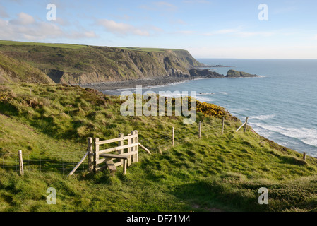 Vista dall'Eremo lungo il sentiero costiero affacciato sulla bocca Welcombe Beach, North Devon, Regno Unito. Foto Stock