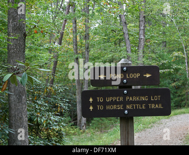 Sentiero in legno segno sul sentiero forestale dicendo ad anello di stagno Foto Stock
