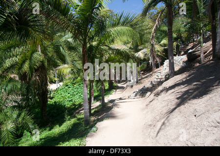 Il sentiero o percorso di avvolgimento attraverso il Parco Balboa, San Diego, CA. Foto Stock