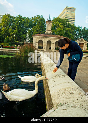 Cigni bianchi in Italian Gardens, Kensington Gardens, Hyde Park, London, England, Regno Unito Foto Stock