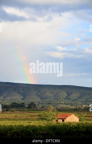 La montagna Sainte Victoire nelle Bouches du Rhone. Francia Foto Stock