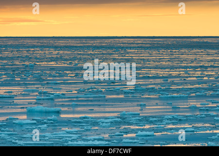 Ice floes, bordo della banchisa, atmosfera serale, Oceano Artico, isola Spitsbergen, arcipelago delle Svalbard Isole Svalbard e Jan Mayen Foto Stock