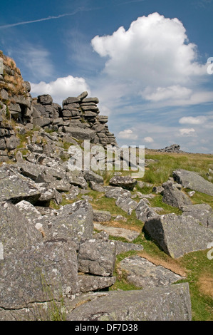 Tor superiore sul lato nord del Comune Belstone, Dartmoor Foto Stock