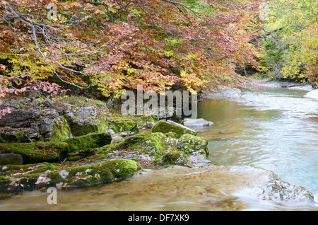 Fiume Arazas in Ordesa National Park, Pirenei, Huesca, Aragona, Spagna Foto Stock