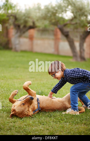 Little Boy giocando con un cane in erba Foto Stock