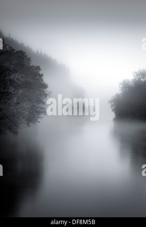 Una nebbiosa mattina prevede la separazione tra i vari gruppi di alberi lungo le rive del fiume Eamont in Pooley Bridge. Foto Stock
