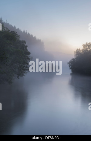 Una nebbiosa mattina prevede la separazione tra i vari gruppi di alberi lungo le rive del fiume Eamont in Pooley Bridge. Foto Stock