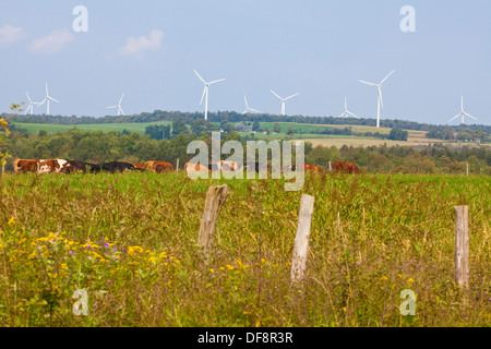 Il Fenner Wind Farm è raffigurato nella contea di Madison, New York Foto Stock
