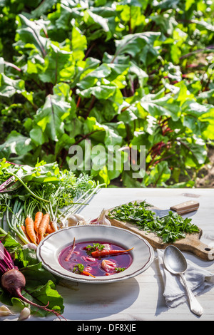 Zuppa di barbabietole con verdure fresche sul campo Foto Stock