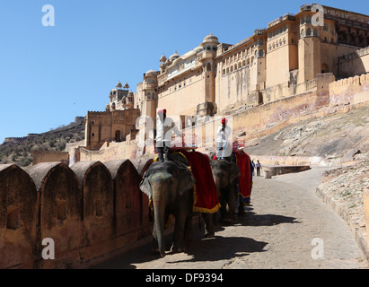 Gli elefanti di equitazione a Forte Amber vicino a Jaipur, Rajasthan,l'India, Asia Foto Stock