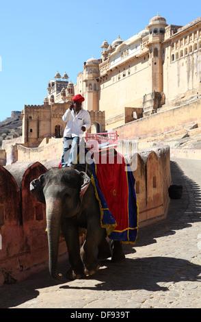 Gli elefanti di equitazione a Forte Amber vicino a Jaipur, Rajasthan,l'India, Asia Foto Stock