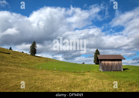 Capanna in legno sul verde prato alpino, Alpi bavaresi Foto Stock