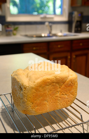 Appena cotto domestico senza glutine pane fro macchina per il pane raffreddamento su un rack in una cucina per il frumento intollerante allergy celiaci Foto Stock