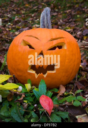 Zucca di Halloween Foto Stock