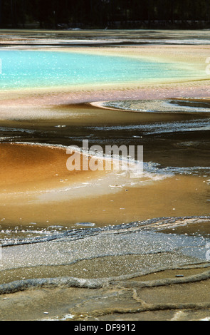 Elk265-1614v Wyoming, il Parco Nazionale di Yellowstone, Bacino di Midway, Grand Prismatic Spring Foto Stock