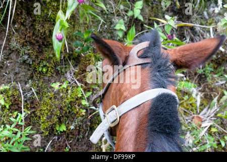 Piloti prospettiva... Foto Stock