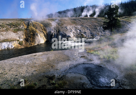 Elk265-1240 Wyoming, il Parco Nazionale di Yellowstone, Upper Geyser Basin, Blue Star molla Foto Stock