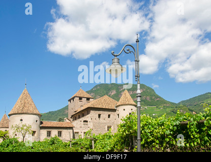 Castel Mareccio (Schloss Mareccio) e il vigneto, Bolzano, Alto Adige Provincia, Italia, Europa Foto Stock