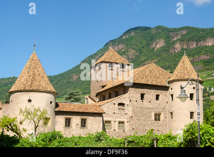 Castel Mareccio (Schloss Mareccio) e il vigneto, Bolzano, Alto Adige Provincia, Italia, Europa Foto Stock