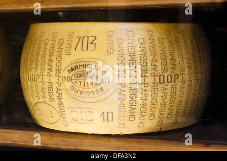 Tutta la ruota di formaggio Parmigiano Reggiano, Reggio Emilia, Emilia Romagna, Italia Foto Stock