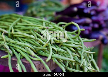 Sparrow erba sul mercato asiatico Foto Stock