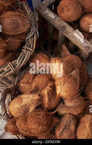 Noci di cocco in una fiera Shie noce di cocco. Foto Stock