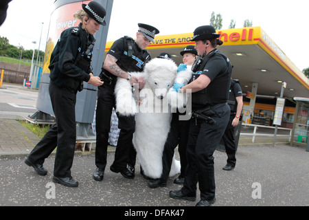 Un attivista di Greenpeace vestito come un orso polare è arrestato durante il suo tentativo di arrestare il distributore di benzina Shell in Edinburgh Foto Stock