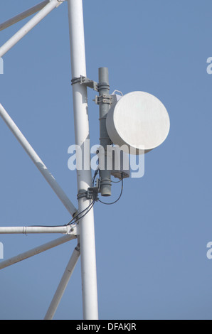 Antenna per microonde / piatto su sfondo blu dimostrando modren telecomunicazioni Foto Stock