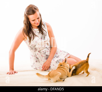 Due cani gioco intorno, donna e sfondo bianco Foto Stock