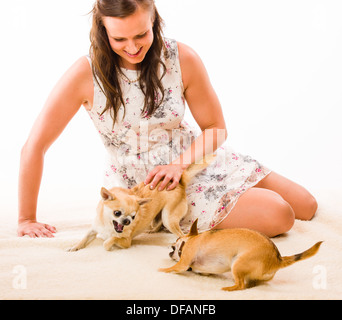 Due cani gioco intorno, donna e sfondo bianco Foto Stock