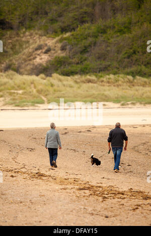 Anglesey, Galles, UK. 1 ottobre2013: Dog walkers godendo di un ottimo clima sul primo giorno del cane senza restrizioni a piedi sulla stagione Ynys Llanddwyn ( Llanddwyn Island) e Newborogh Warren beach, Anglesey, Galles Credito: deadgooddesigns/Alamy Live News Foto Stock