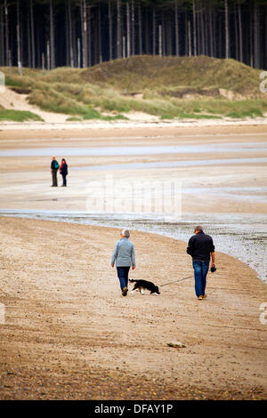 Anglesey, Galles, UK. 1 ottobre2013: Dog walkers godendo di un ottimo clima sul primo giorno del cane senza restrizioni a piedi sulla stagione Ynys Llanddwyn ( Llanddwyn Island) e Newborough Warren beach, Anglesey, Galles Credito: deadgooddesigns/Alamy Live News Foto Stock