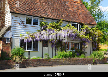 Il Glicine coperte tradizionali di Kentish clapboard cottage in villaggio Smarden Kent REGNO UNITO Foto Stock