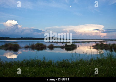 Ore del sorgere nella palude Foto Stock