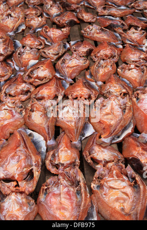 Sun-pesci secchi in Cambogia Foto Stock