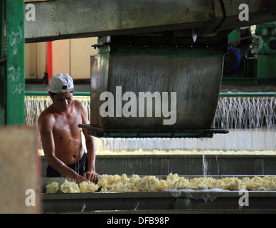 Fabbrica di gomma in Cambogia Foto Stock