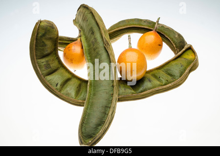 Frutta pacae (Inga brachyptera frutta) e il dolce frutto di Granadilla. originale frutto peruviano. Foto Stock
