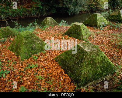 Durante la Seconda Guerra Mondiale calcestruzzo anticarro Blocchi (Dragon's denti) posto accanto al fiume Wey, Surrey: parte delle difese contro un'invasione tedesca. Foto Stock