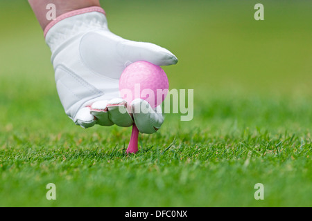 Un signore mano in bianco guanto in pelle tenendo un rosa pallina da golf collocando un raccordo a T nel terreno. Foto Stock