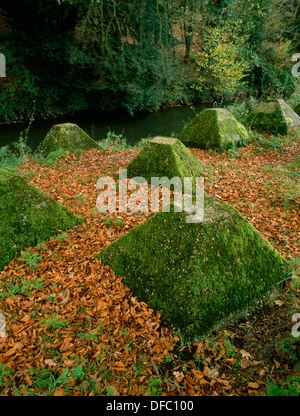 Durante la Seconda Guerra Mondiale calcestruzzo anticarro Blocchi (Dragon's denti) posto accanto al fiume Wey, Surrey: parte delle difese contro un'invasione tedesca. Foto Stock