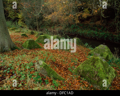 Durante la Seconda Guerra Mondiale calcestruzzo anticarro Blocchi (Dragon's denti) posto accanto al fiume Wey, Surrey: parte delle difese contro un'invasione tedesca. Foto Stock