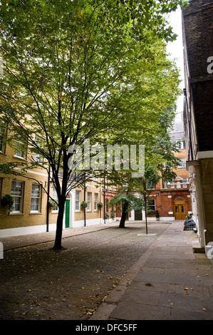 Il piccolo cortile del wardrobe Place off Carter Lane nella città di Londra, Regno Unito Foto Stock