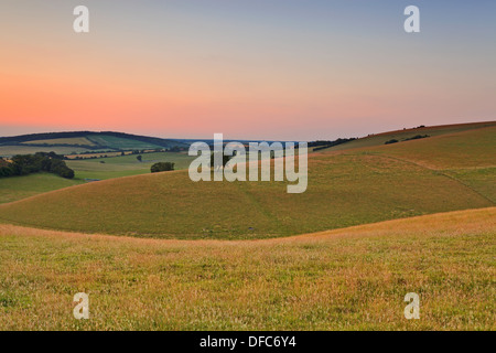 Tramonto su un luglio serata guardando attraverso il South Downs in Hampshire. Foto Stock