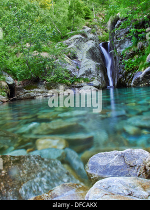 Piccola cascata nella foresta di Vale grande nelle Alpi Italiane Foto Stock