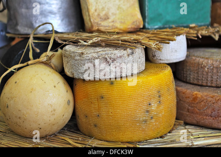 I diversi tipi di formaggi stagionati sul supporto internazionale sulla festa del formaggio a Bra, Italia settentrionale. Foto Stock